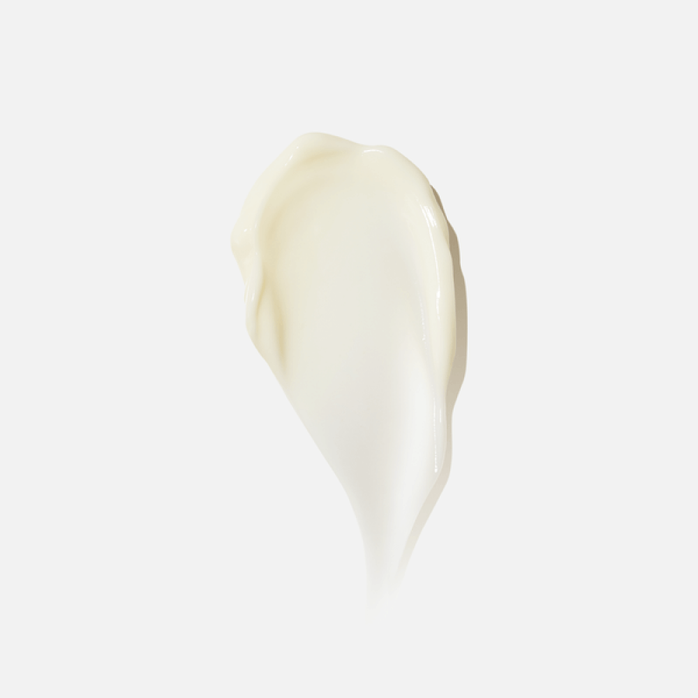 image-1-_12_-_1_